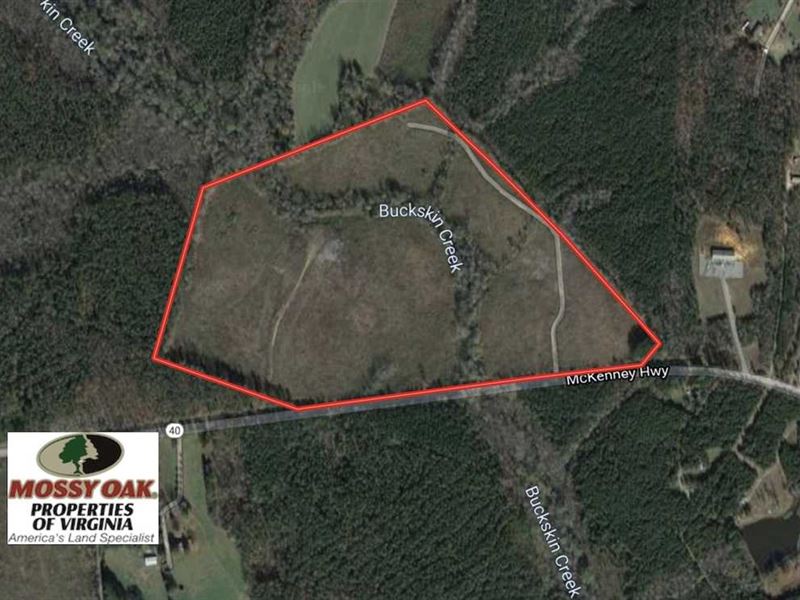 66 Acres of Hunting Land for Sale : Dinwiddie : Dinwiddie County : Virginia