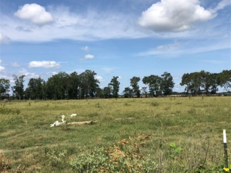 37 Ac, Fenced Pasture with Well : Fort Necessity : Franklin Parish : Louisiana