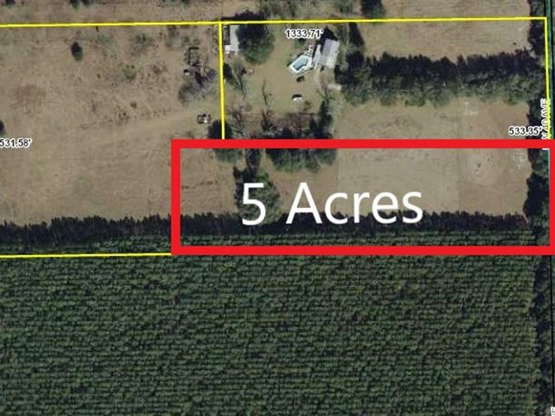 Land 5 Acres Bell, Gilchrist CO : Bell : Gilchrist County : Florida
