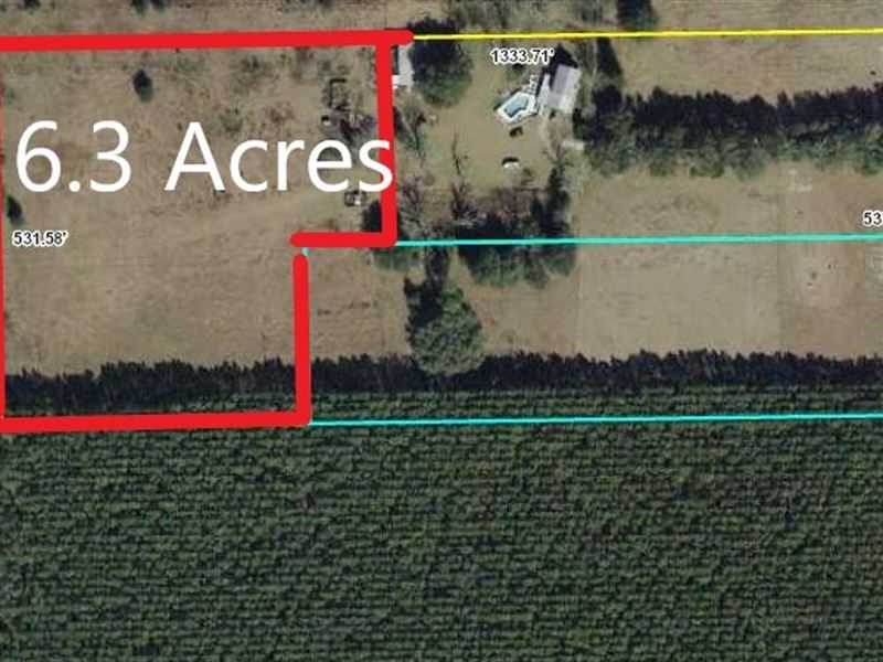 Land, 6.3 Acres Bell, Gilchrist : Bell : Gilchrist County : Florida