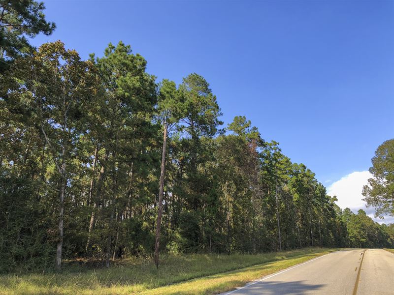 28 Acres Waterwood Estates T2 : Huntsville : San Jacinto County : Texas