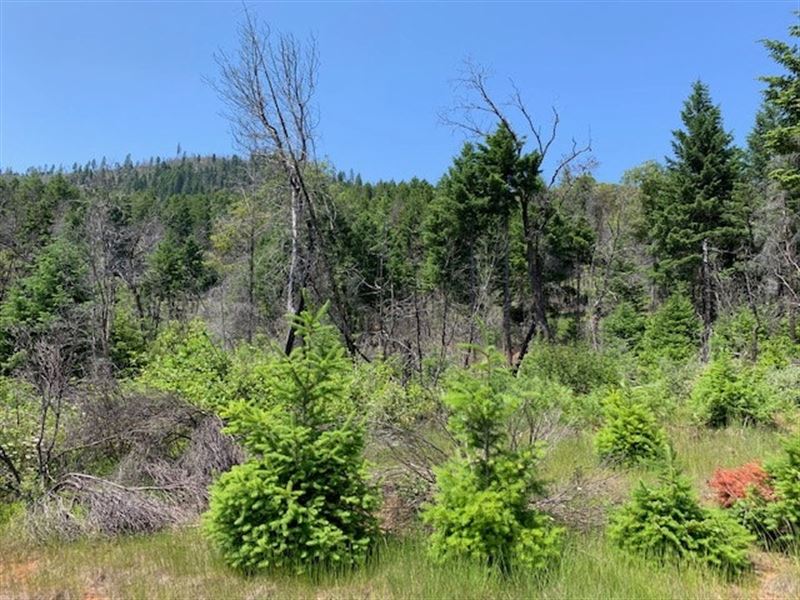 West Grave Creek : Wolf Creek : Josephine County : Oregon