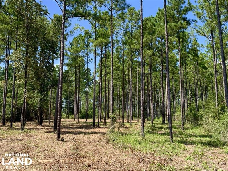 Wilmer Homesite and Recreational Tr : Wilmer : Mobile County : Alabama