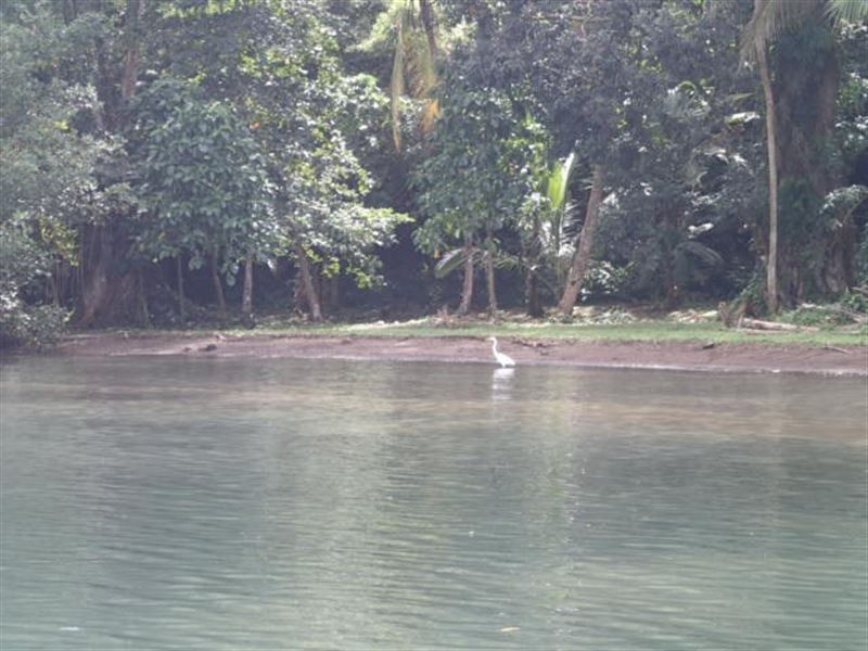 Black Sand Beachfront Mainland : Panama