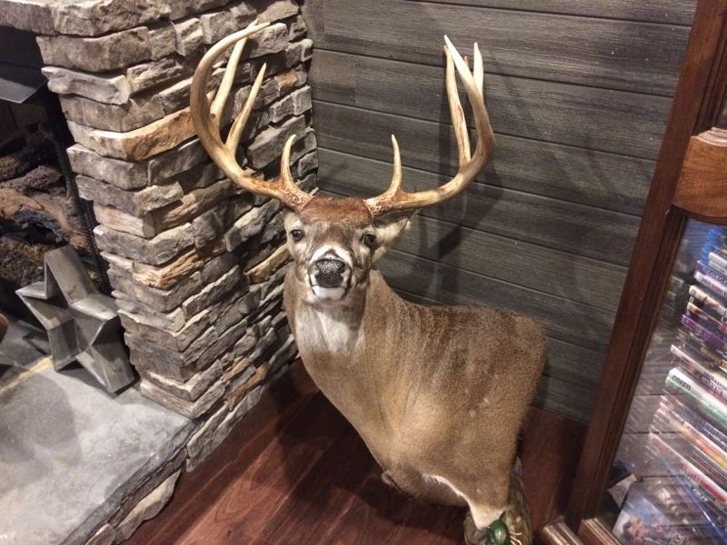 Turn Key Deer Processing Business, Farm for Sale in 214785