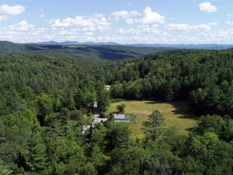 East Hill Forest : Middlesex : Washington County : Vermont