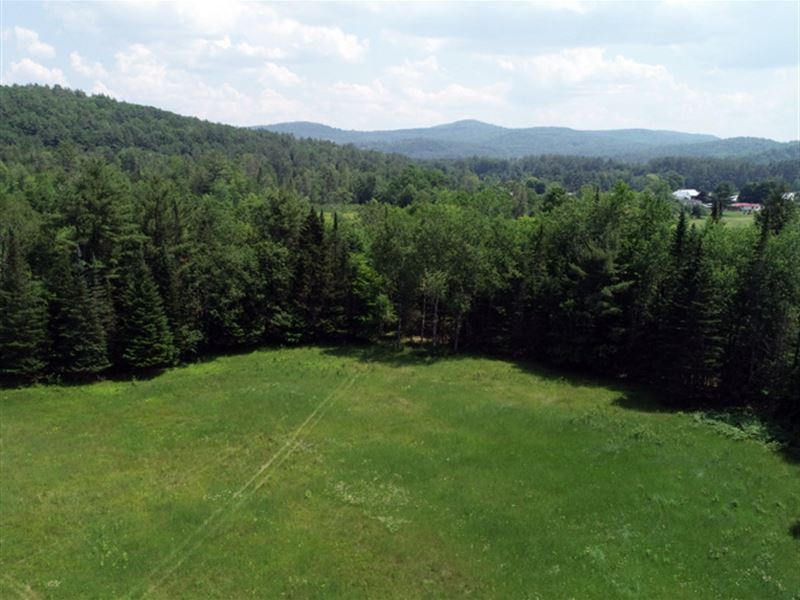 Hemlock Hill : West Fairlee : Orange County : Vermont