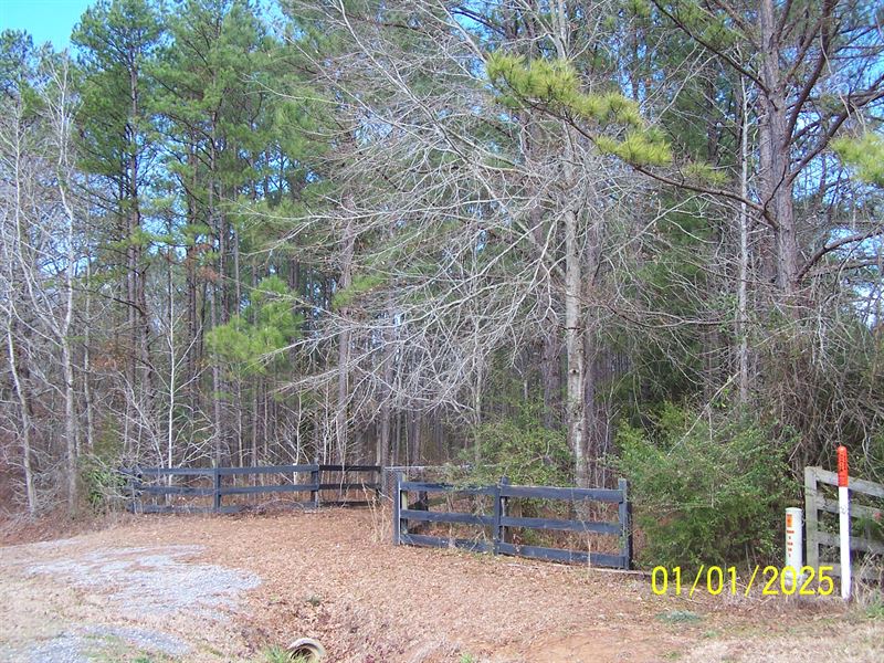 Wooded Homesite Ramer : Ramer : Montgomery County : Alabama