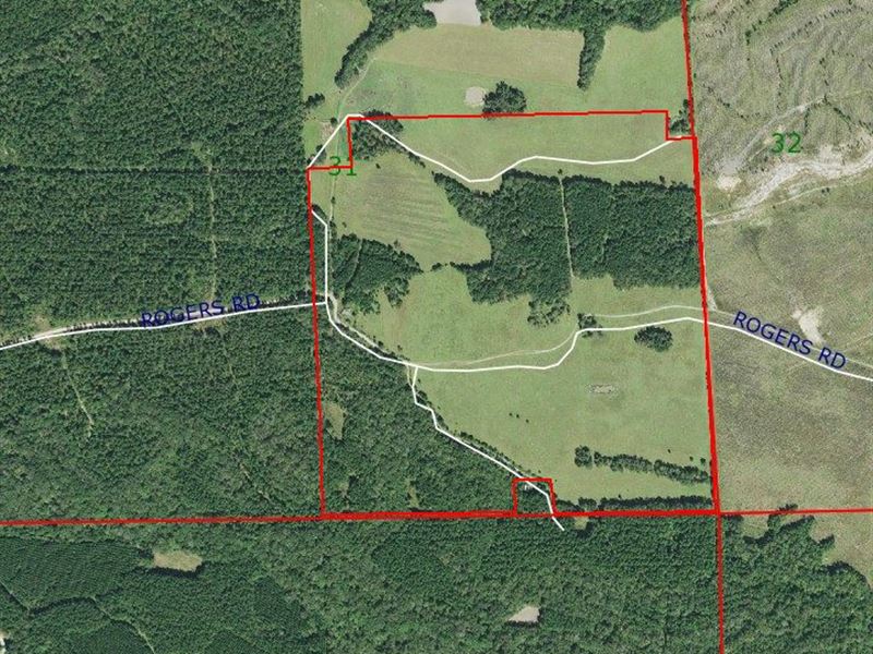 Pasture Land & Recreational Tract : Hurtsboro : Russell County : Alabama