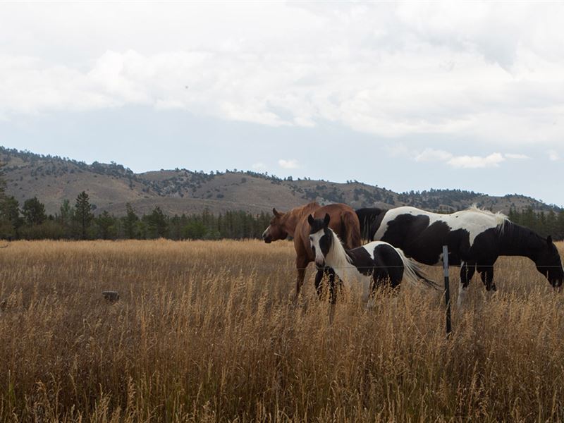 West Casper Acreage : Casper : Natrona County : Wyoming