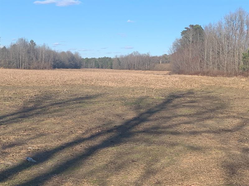ManvilleWisacky Tract Farm for Sale in Lee County