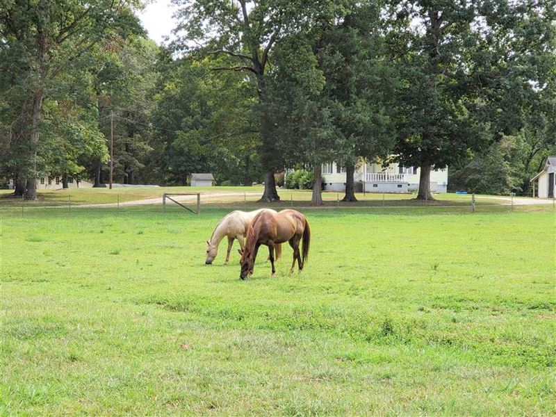 10.82 Acres Equestrian Property : Lancaster : Lancaster County : South Carolina