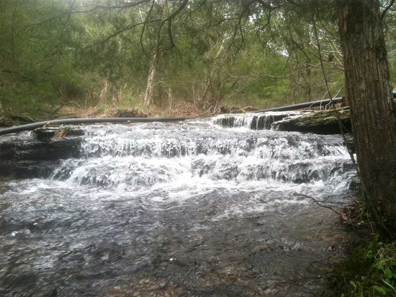 140 Acres with Year Round Creek : Quitman : Van Buren County : Arkansas
