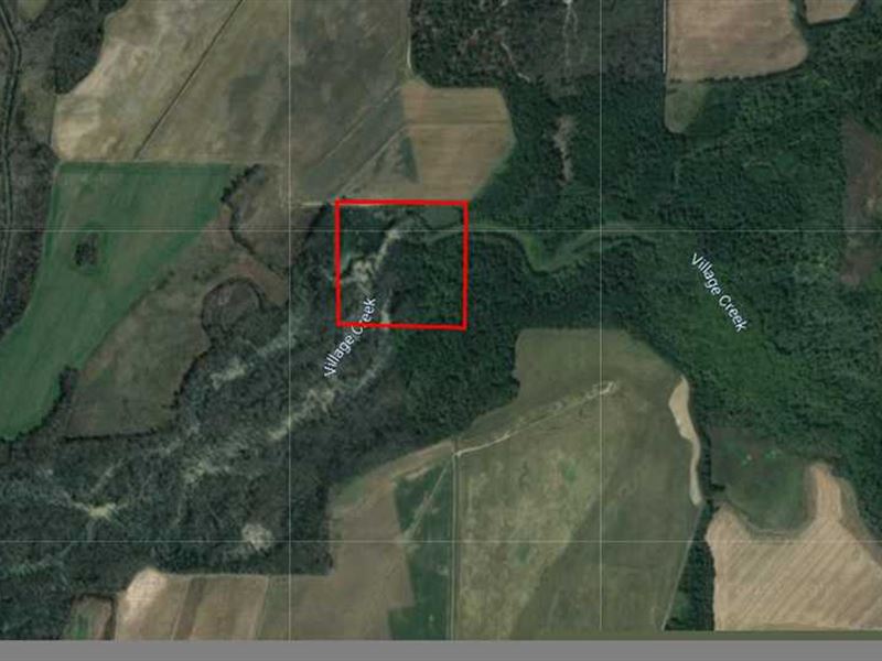 40 Acres, Duck & Deer Hunting : Tuckerman : Jackson County : Arkansas