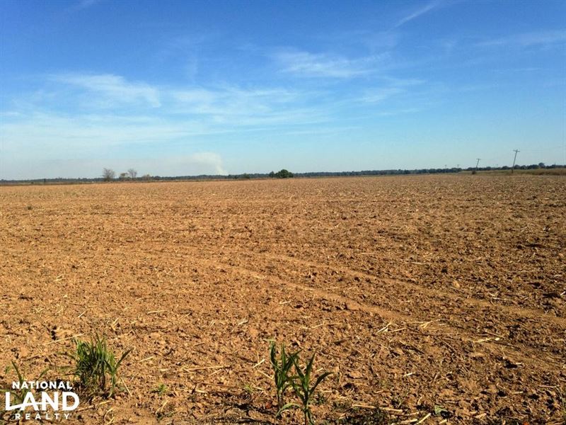 200 Acres Farmland & Hunting Land Farm for Sale in Eudora, Chicot