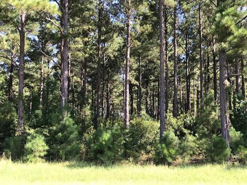 Silas Tract : Warrenton : Warren County : Georgia