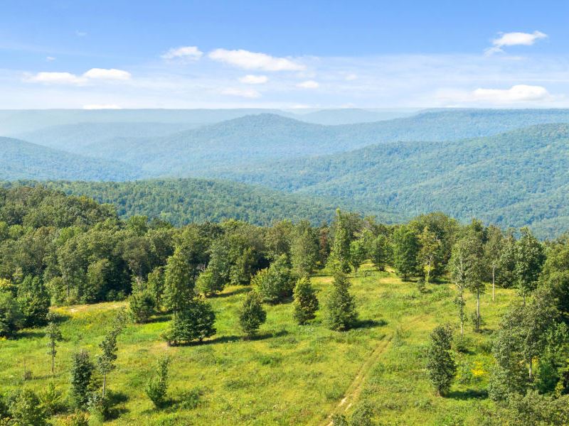 Private Cumberland Plateau Acreage : Winchester : Franklin County : Tennessee