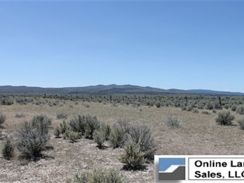 California, Lassen County : Madeline : Lassen County : California