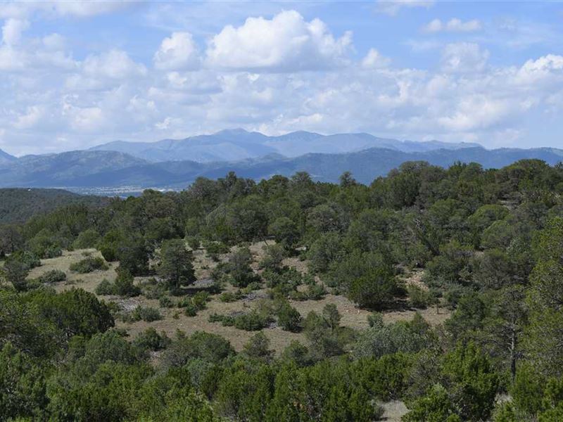 38.8 Acres Indian Divide Acreage : Capitan : Lincoln County : New Mexico