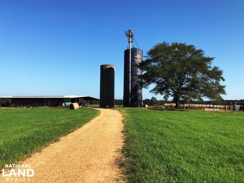 Hickory Grove Cattle Ranch Farm for Sale in Lumberton, Pearl River