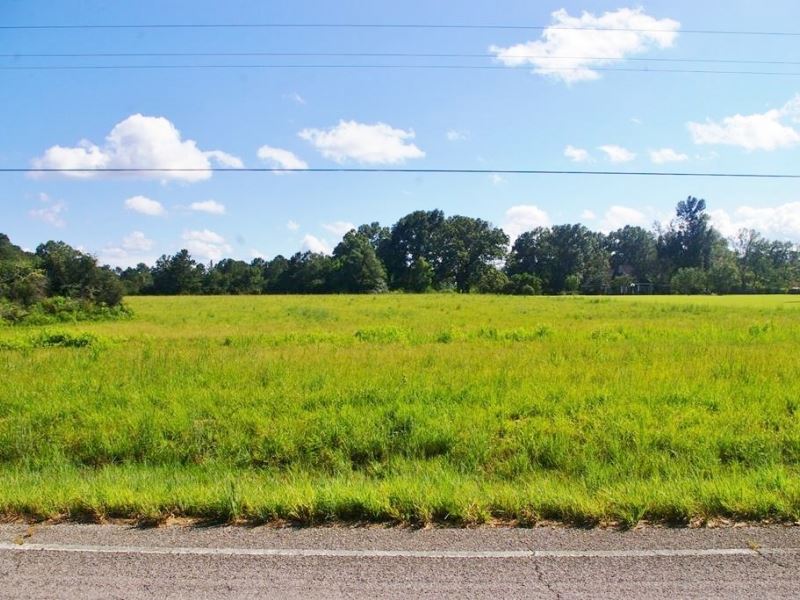 15.27 Acres Land For Sale Kentwood Farm for Sale in Kentwood, Tangipahoa Parish, Louisiana