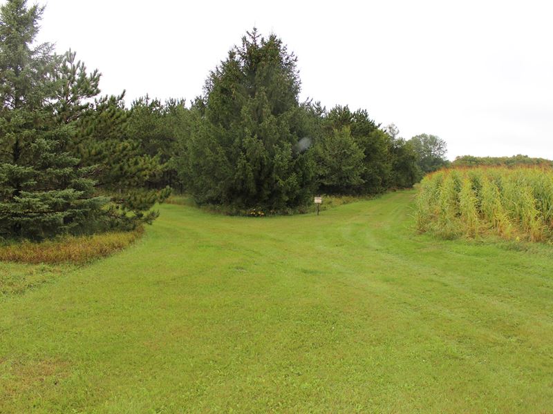 Stearns County Hunting Land : Belgrade : Stearns County : Minnesota