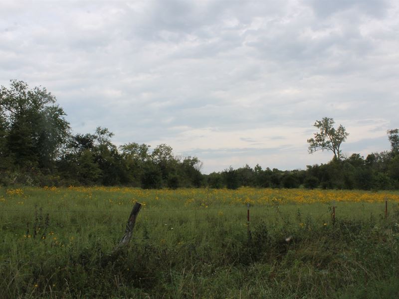 Mercer County MO 160 Acres for Sale : Mercer : Mercer County : Missouri