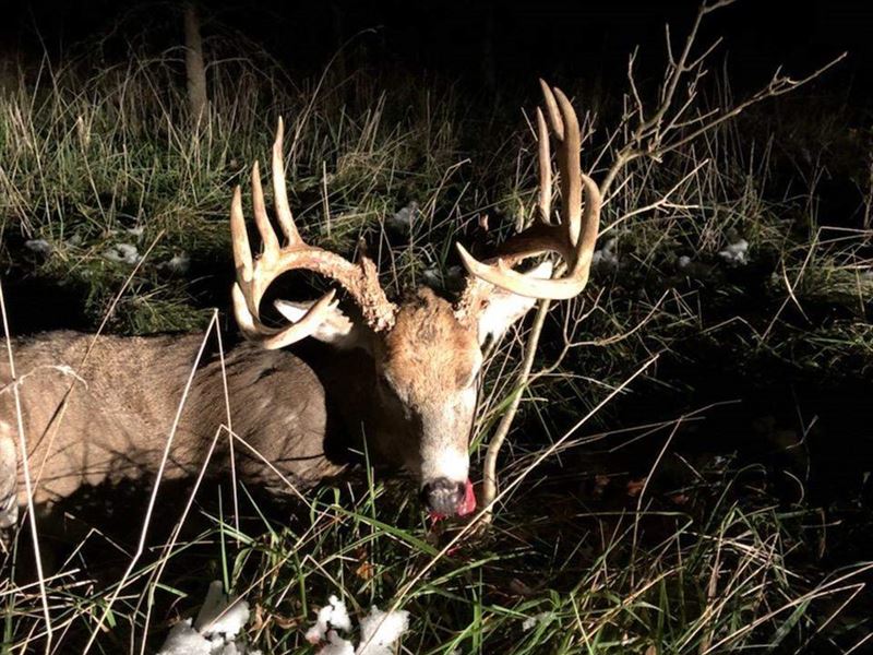 Deer Hunting Pettis County MO : Nelson : Pettis County : Missouri