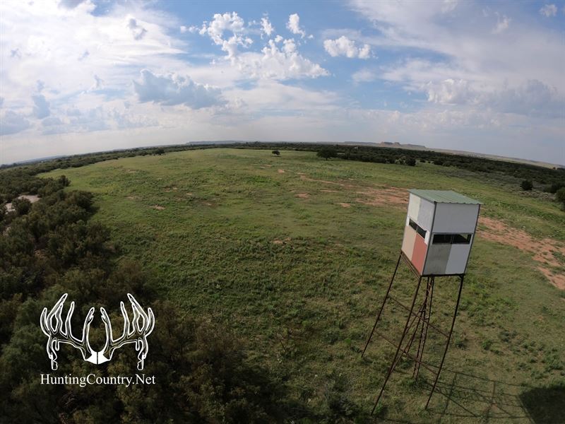 555 Acres M/L, Major County : Orienta : Major County : Oklahoma