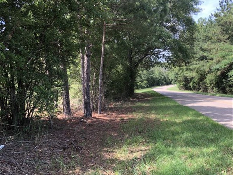 Well Established Hunting Land : Prattville : Autauga County : Alabama