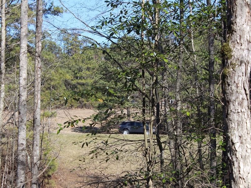 New Photos Wooded Land Autauga CO, Farm for Sale in Alabama, 215156 FARMFLIP