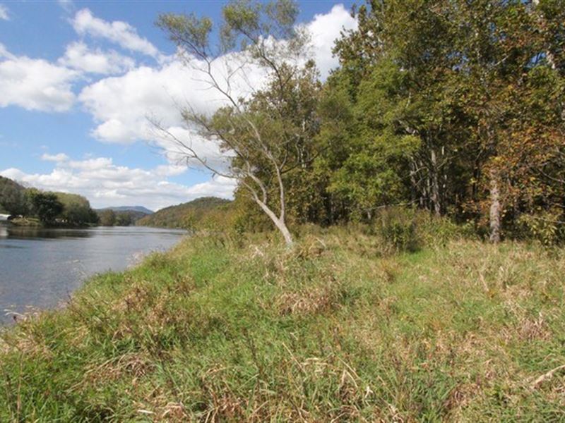 Secluded New River Frontage : Independence : Grayson County : Virginia