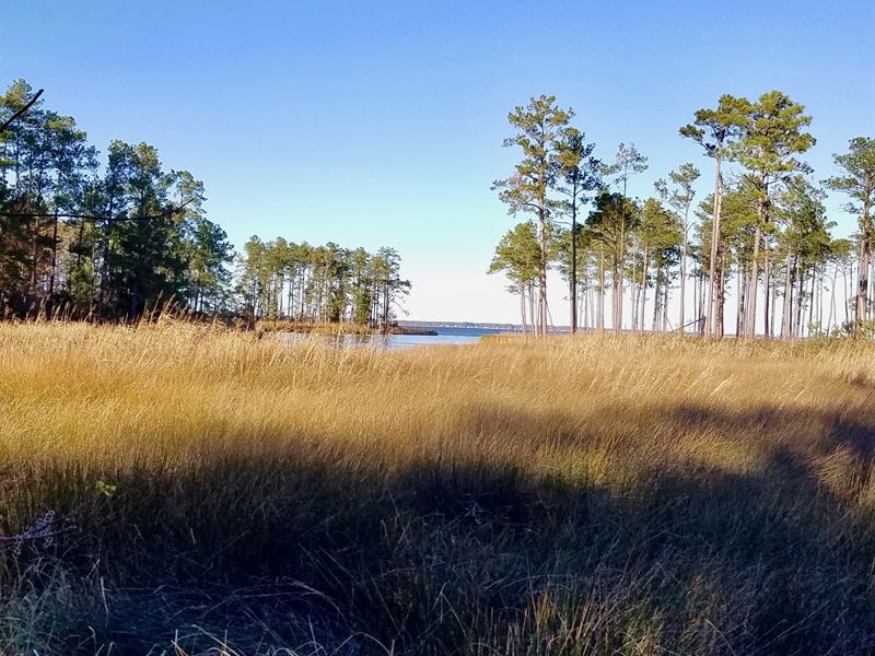 Rural Land Beaufort County, NC : Aurora : Beaufort County : North Carolina
