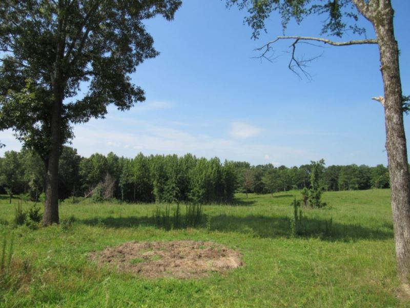 87.7 Acres with A Home in Panola CO, Farm for Sale in Mississippi
