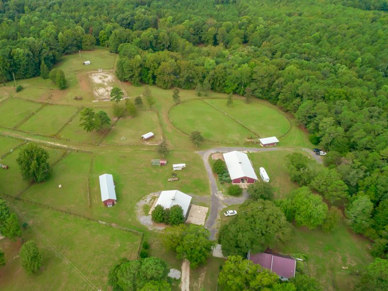 The North Columbia Equestrian Farm : Columbia : Richland County : South Carolina