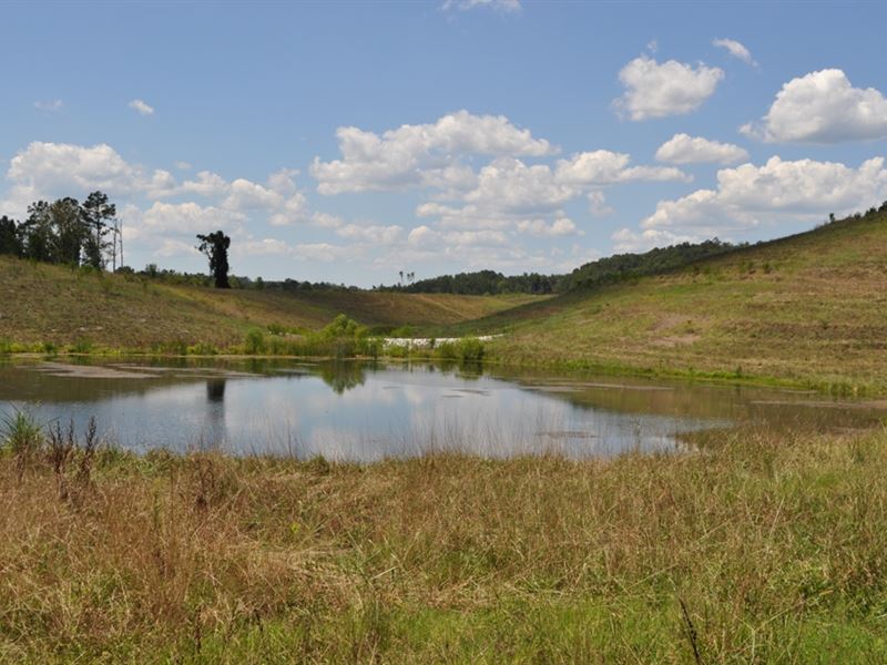 Recreation & Hunting Land in Adger : Adamsville : Jefferson County : Alabama