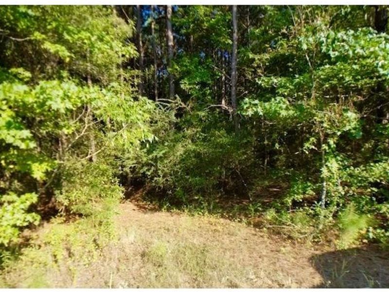 Land Nacogdoches, TX Hunting : Nacogdoches : Nacogdoches County : Texas