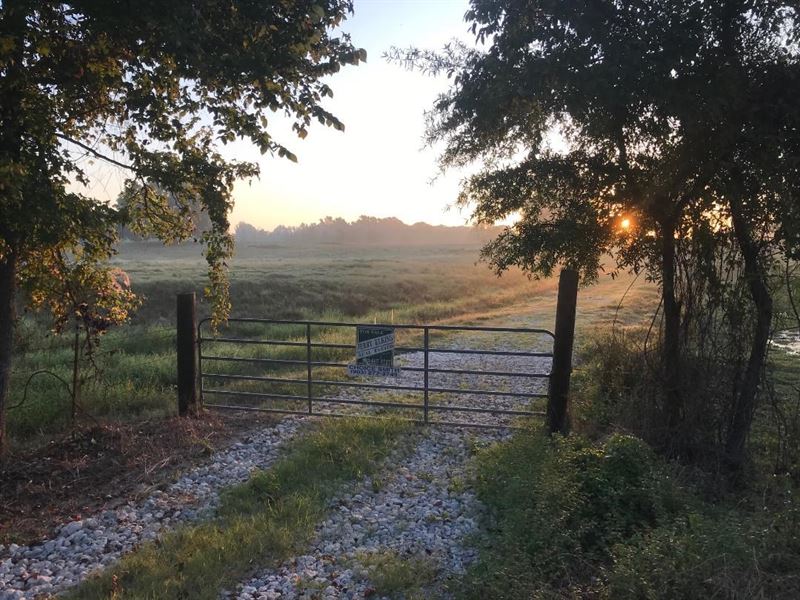 Ranch / Hunting Bowie County, Texas : Simms : Bowie County : Texas