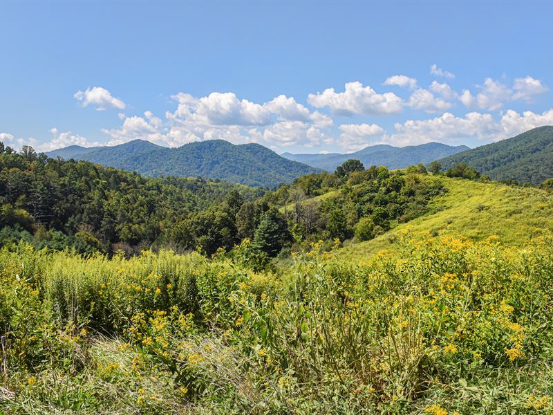 The Sandy Bottom Road Farm, Farm for Sale in North Carolina, 215478