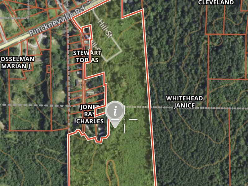 Great Tract for Cattle Or Home : Woodville : Wilkinson County : Mississippi