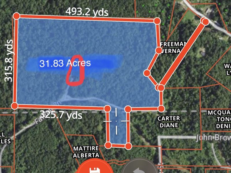 Nice Hunting Tract with Timber : Woodville : Wilkinson County : Mississippi