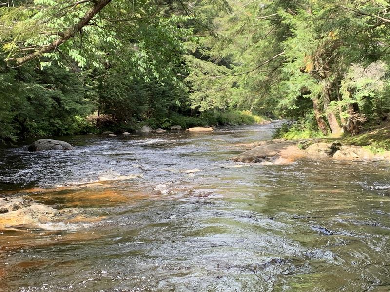 Little Black Creek Frontage : Remsen : Oneida County : New York