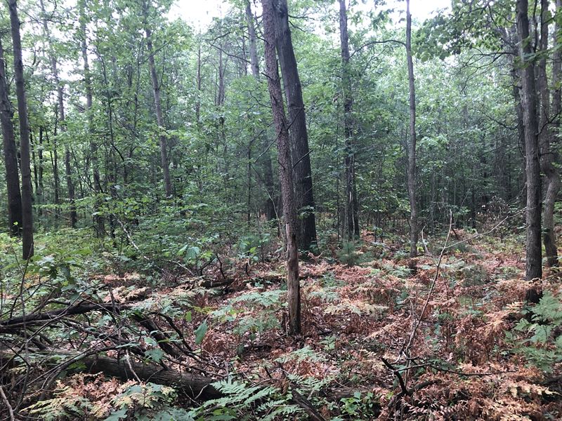 Versatile Acreage, Muskegon County : Muskegon : Muskegon County : Michigan