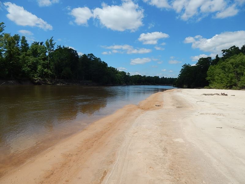 490 Acres / Pushepatapa Cutoff Road : Bogalusa : Washington Parish : Louisiana