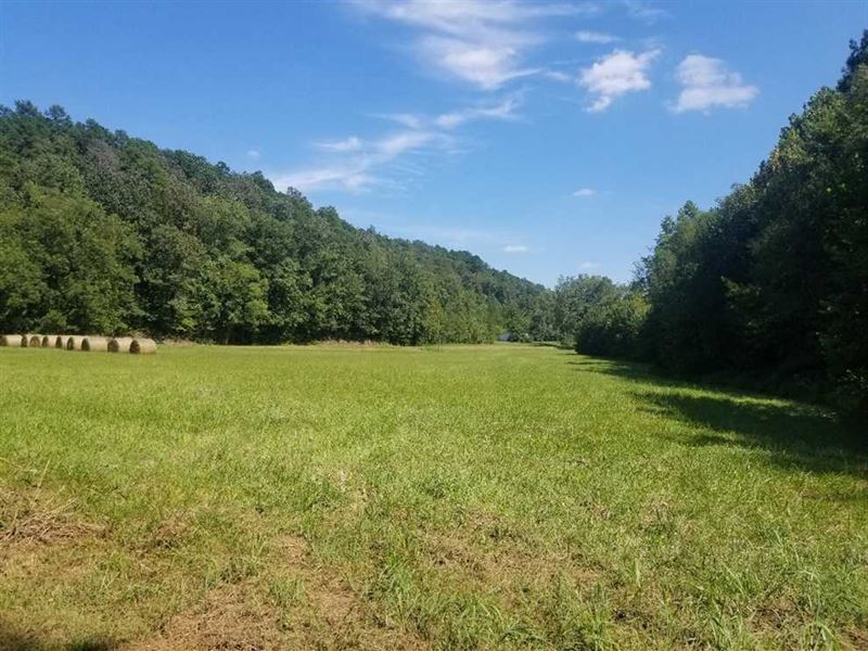 69 Acres Wayne Co, Tn, Beautiful : Collinwood : Wayne County : Tennessee