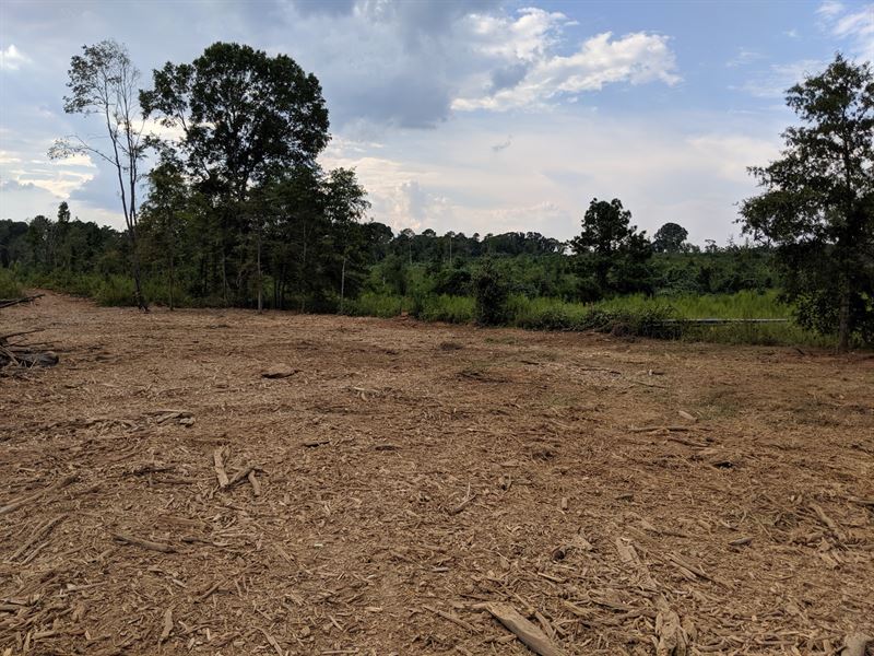 Coldwater Farms, Tract A : Oxford : Calhoun County : Alabama