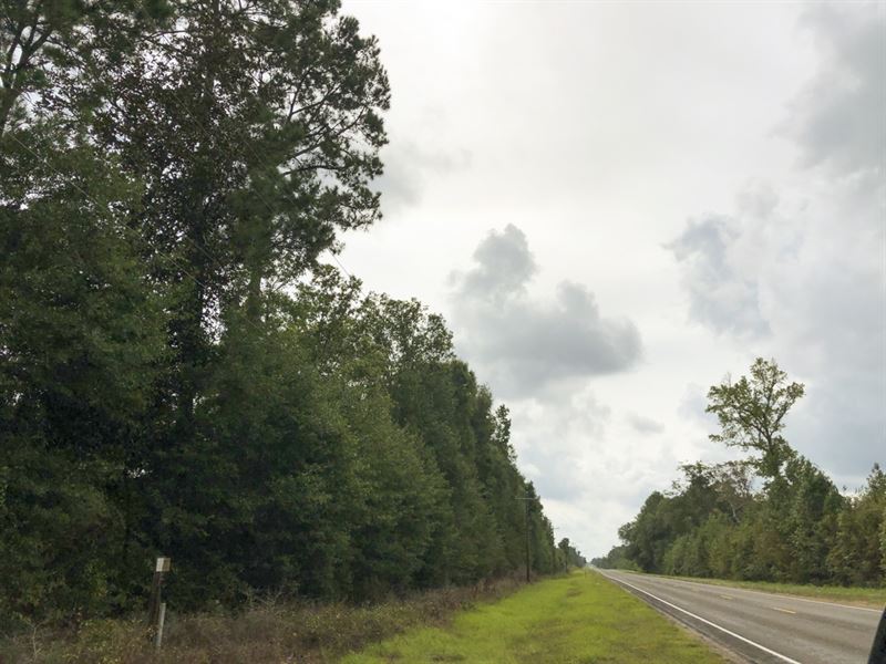 33 Acres Fm 787 : Votaw : Hardin County : Texas
