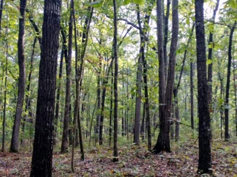 Estes Country Estates, Bolingbroke : Macon : Monroe County : Georgia