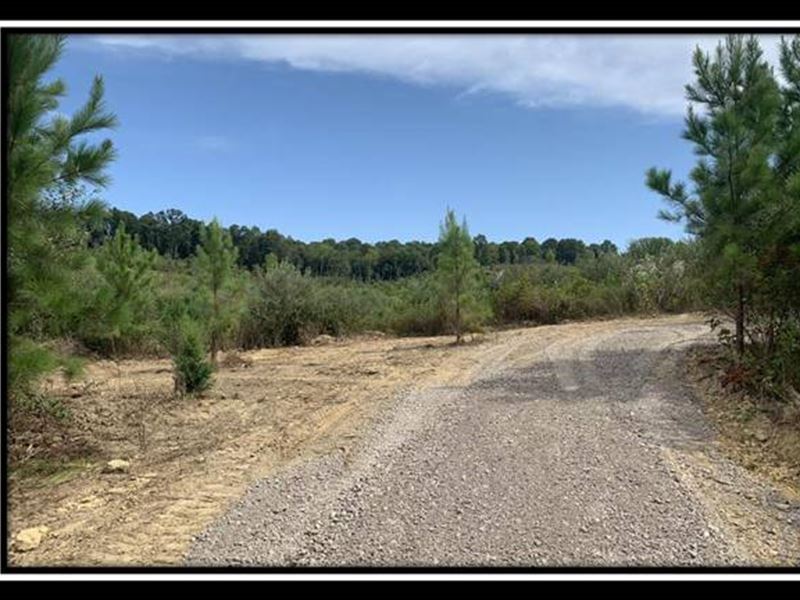 Old Shurtz Road Tract 1 : Brown : Vinton County : Ohio