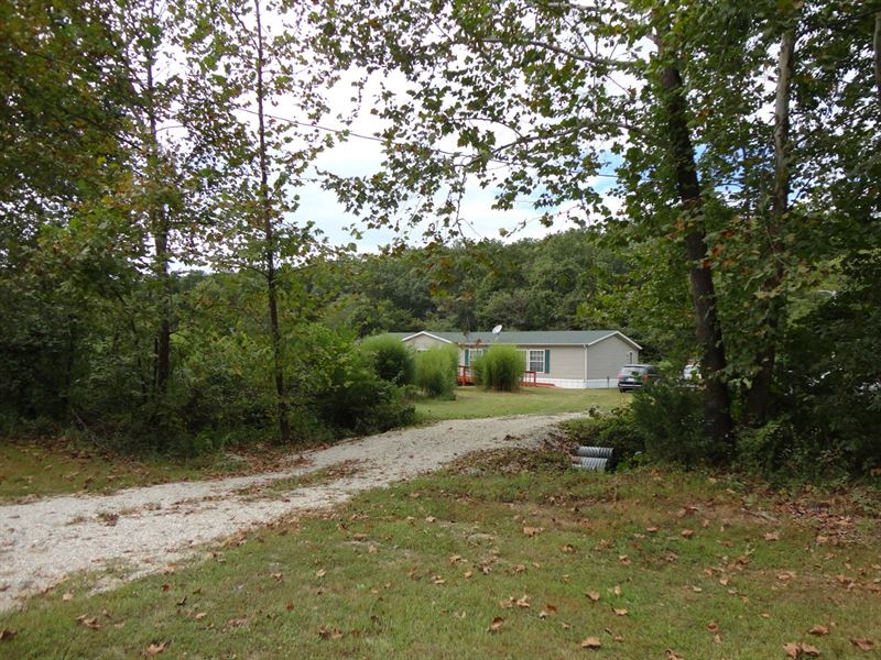 Bamboo Mini Farm Salem, Missouri : Salem : Dent County : Missouri